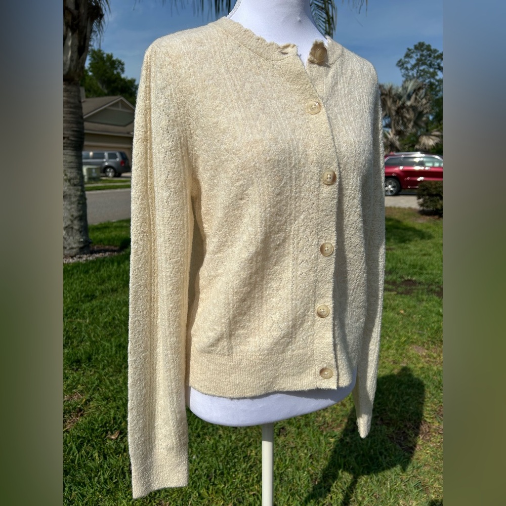 NWT🌷LOFT Pointelle Textured Cream Cardigan